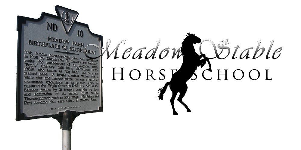 Meadow Horse School Roleplay